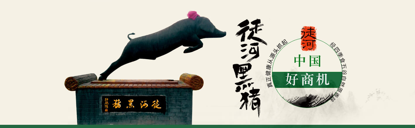 徒河黑豬