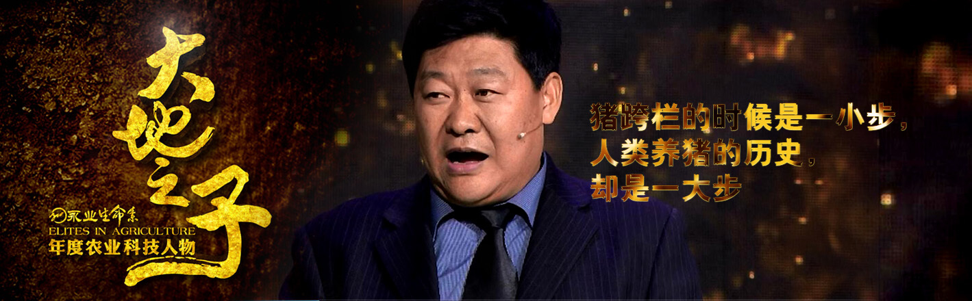 徒河黑豬
