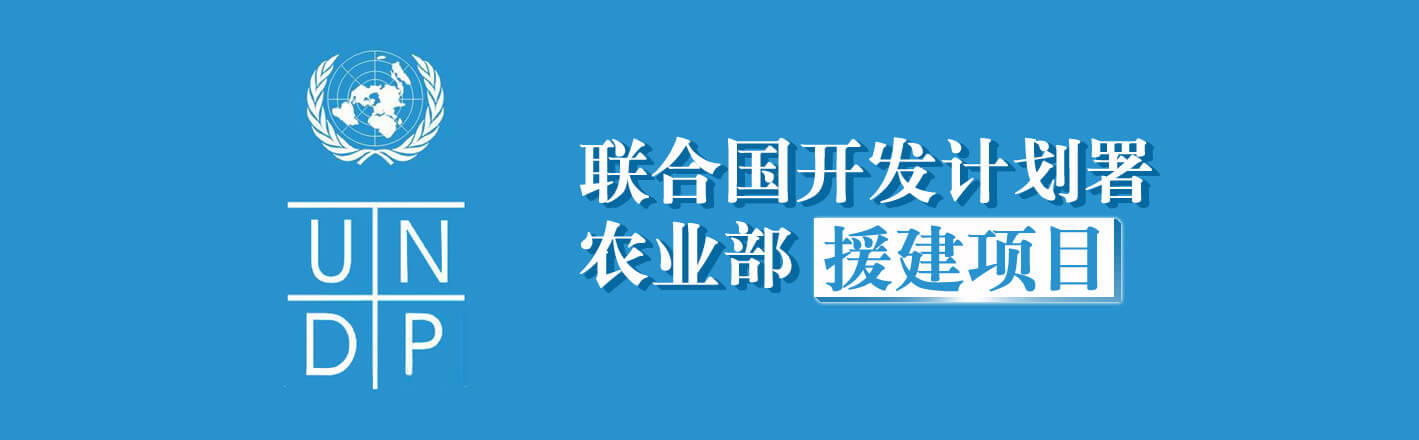 徒河黑豬