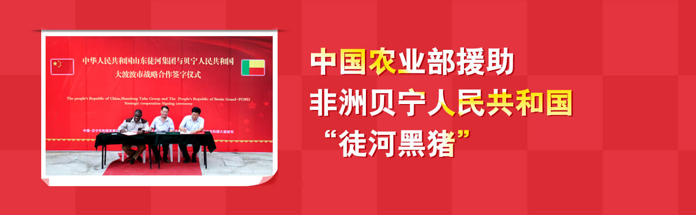 徒河黑豬