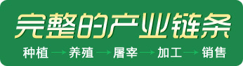 徒河黑豬招商產(chǎn)業(yè)鏈篇